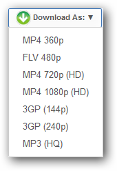 Simple video and audio format list
