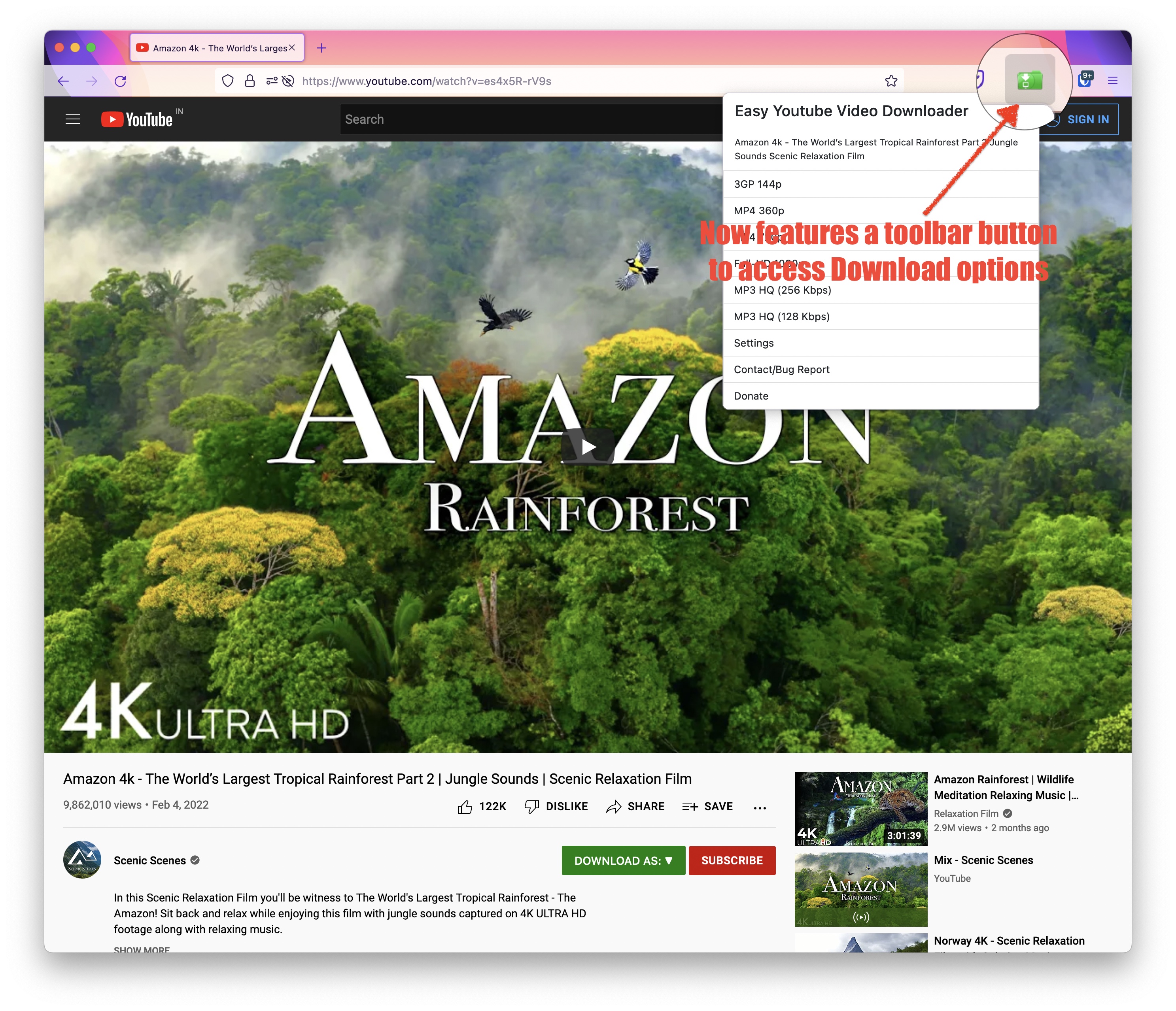 Click the shown button to start video download